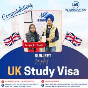 IQ Immigration | Success Stories